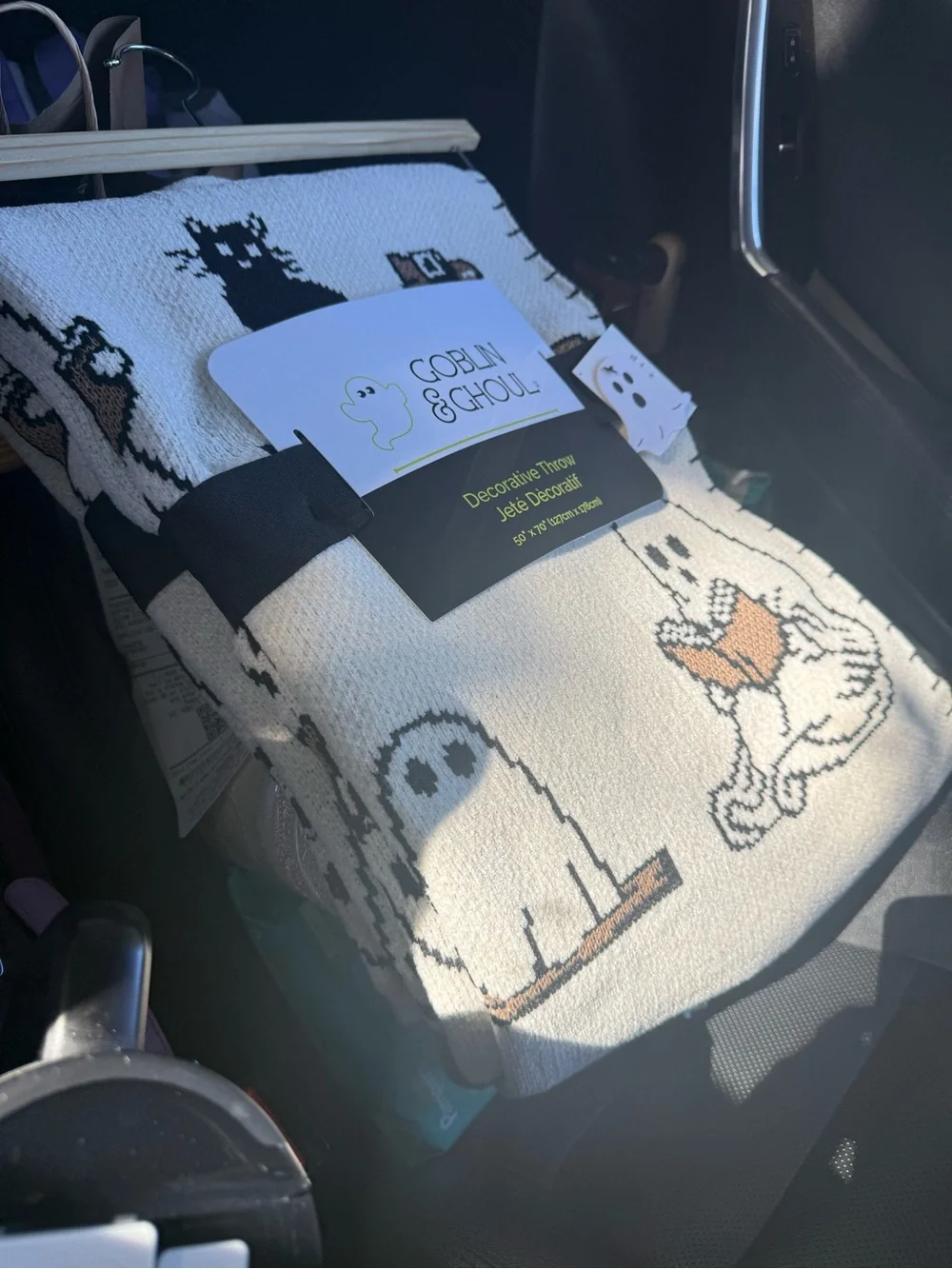 Homegoods/Tj Maxx viral ghost reading blanket